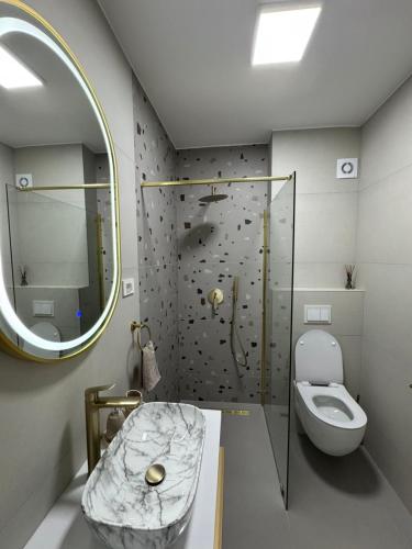 a bathroom with a toilet and a mirror at Apartman Katamar in Ljubuški