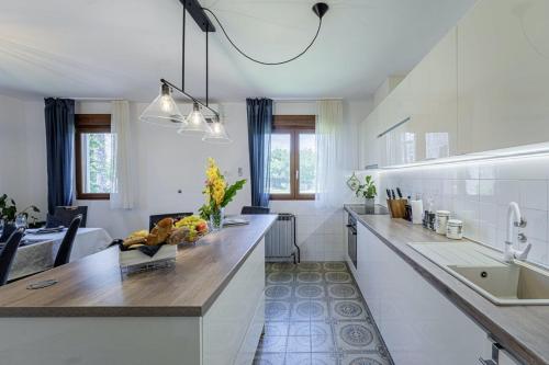 una cucina con piano di lavoro e lavandino di Villa Mendula in Čambarelići - Haus für 6-7 Personen a Kršan