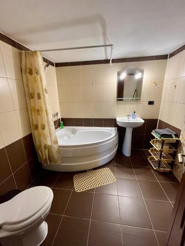 a bathroom with a tub and a toilet and a sink at Casa Eliana in Călimăneşti