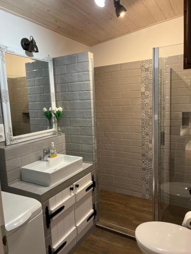 a bathroom with a sink and a mirror and a shower at Tulipános Vendégház in Balatonederics