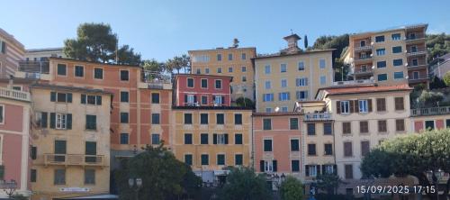 a group of buildings in a city at Cielmarino in Zoagli