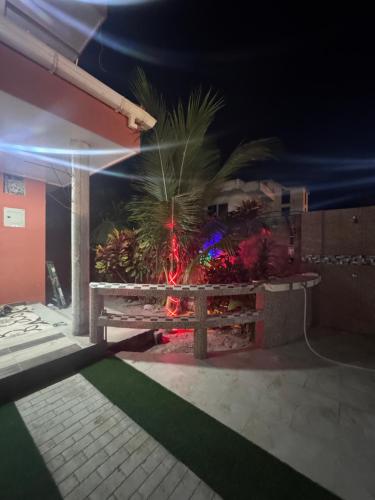 a patio with a bench and a palm tree at night at BeachClub Tonsupa by Cascada Spa Ecuador in Tonsupa