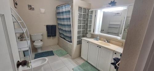 Cottage at Coverley في كرايست تشيرش: حمام مع حوض ومرحاض ومرآة