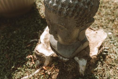 a statue of a head sitting on the grass at Villa Maranga in Dombóvár
