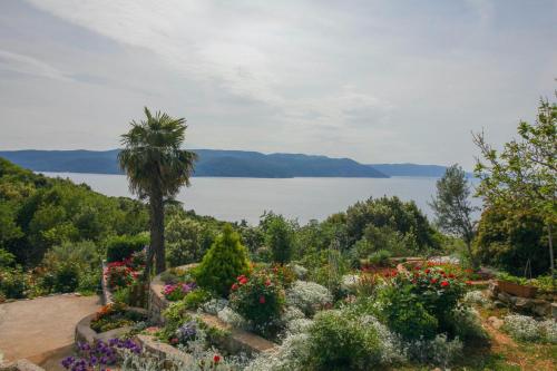a garden with a palm tree and a view of the water at Villa Paradiso in Plomin - Istrien in Plomin