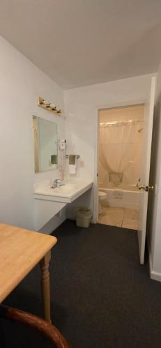 a bathroom with a sink and a toilet and a mirror at Country Inn Marion in Marion