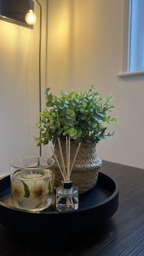 a black table with a vase with a plant on it at Chic & Comfy 1 Bed Apartment Sheffield Stay in Midland