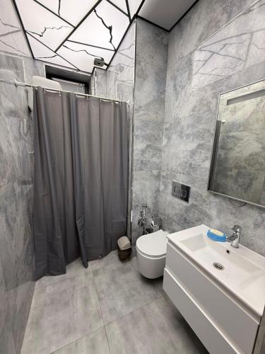 a bathroom with a sink and a toilet and a shower at Delmar in Baku