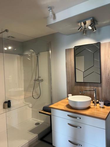 une salle de bain avec un lavabo et une douche dans l'établissement Chez Aurélie & Mathieu studio dans ancienne maison rénovée proche du Lac, à Dompierre-sur-Yon