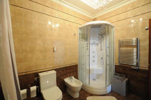 une salle de bain avec une douche, des toilettes et un lavabo dans l'établissement Appartement 53 Promenade des Anglais, à Nice