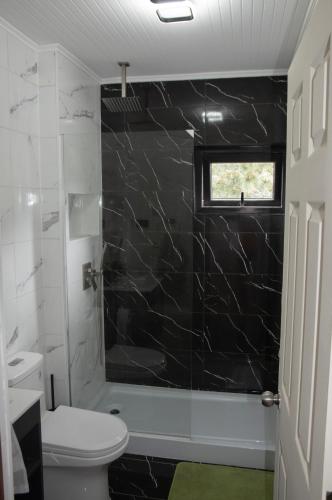 a bathroom with a toilet and a glass shower at Cabaña Vista ShangriLa, Las Trancas in Las Trancas