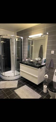 Koupelna v ubytování Casa Aurora Appartement