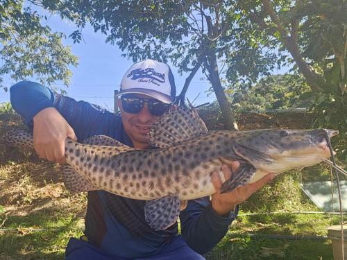 Gallery image of Pesque pague pousada do Carlinho in Pinheiral