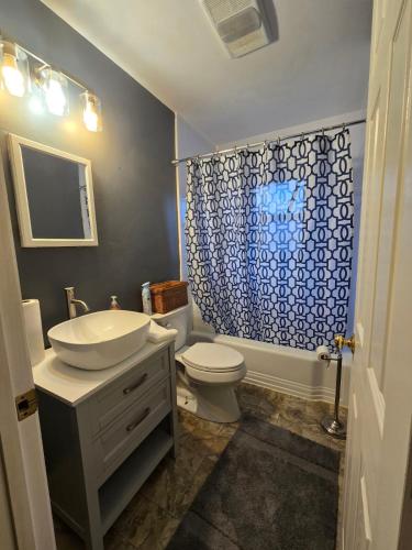 a bathroom with a sink and a toilet and a shower at La Casa delle Pesche in Georgetown