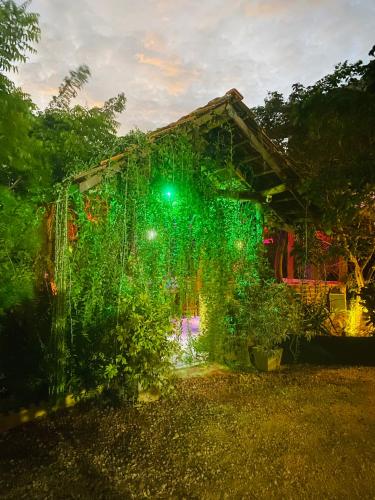 a green lit up house with a green light at Hotel Hanguk Villa in Dambulla