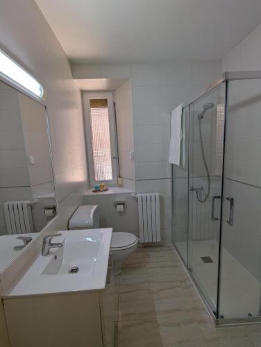 a bathroom with a sink and a shower and a toilet at Tierra de Pinares 2 in Vinuesa