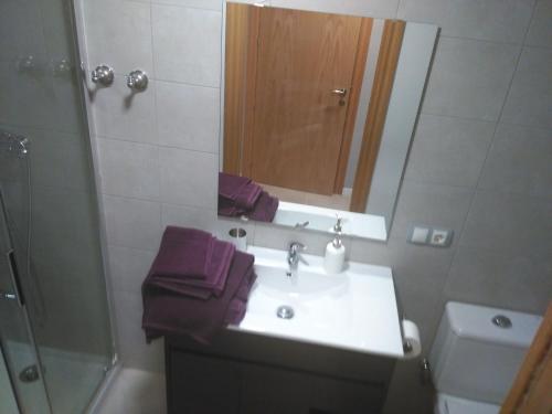 a bathroom with a sink and a shower and a mirror at Cal Jordi, Fulleda in Fulleda