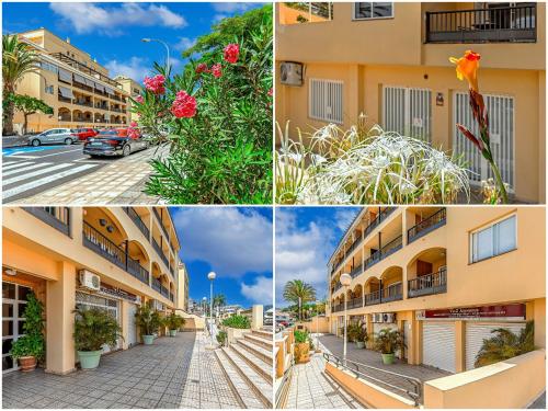 Tenerifeopenhome Colina dorada 1