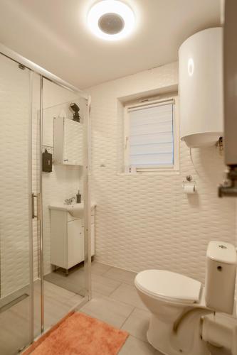 a bathroom with a toilet and a shower and a sink at Domek JuKa in Biały Dunajec