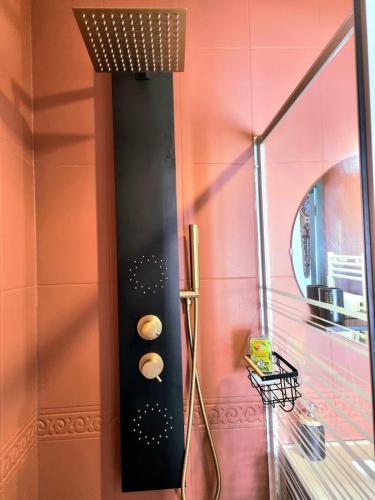 a shower in a pink bathroom with two rolls at Le Globe Trotters in Saint-Étienne