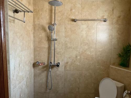 a bathroom with a shower with a toilet at GreenHaven Siaya Cottages in Siaya