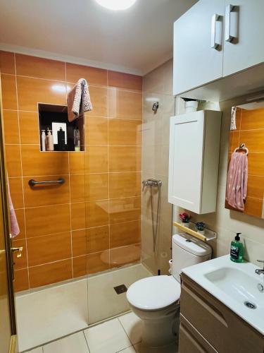 a bathroom with a shower and a toilet and a sink at Acogedor apartamento parque Aizkorri-Aratz a 45 min San Sebastian in Araya