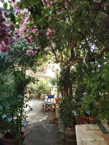 a garden with a bunch of trees and flowers at Cielmarino in Zoagli