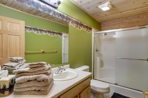 a bathroom with a sink and a shower and a toilet at Lakefront Hazelhurst Cabin Dock and Pool Table in Hazelhurst