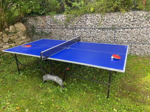 a ping pong table with two ping pong balls on it at 2 Zimmer Ferienwohnung mit Terrasse fußläufig zu S-Bahn nach München und See in Wörthsee