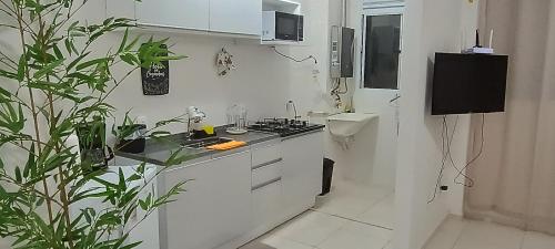 Η κουζίνα ή μικρή κουζίνα στο Apê só pra você no Rio Centro e Parque Olímpico - Barra RJ