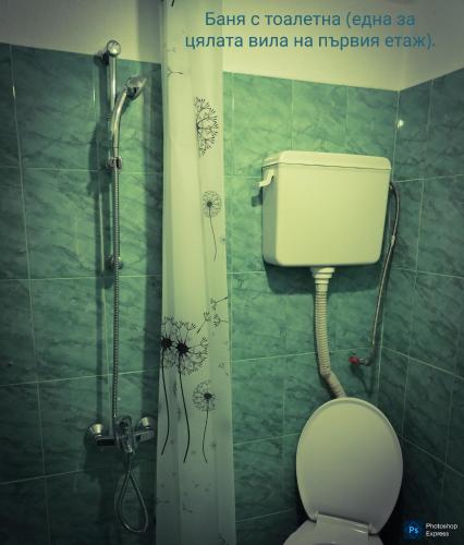 a bathroom with a shower and a toilet and a shower at Вила "до Гората" in Zărkwischte