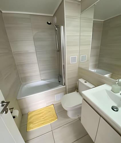 a bathroom with a toilet and a shower and a sink at Edificio Stepke in Temuco