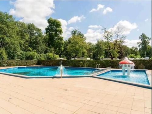 a swimming pool with a gazebo and a fountain at 4pers Welness vakantiehuis in natuurrijke omgeving in Reutum