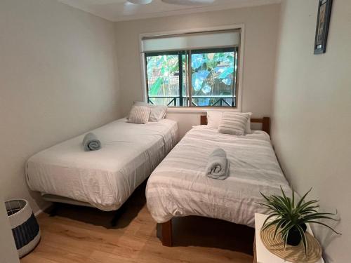 two beds in a small room with a window at NORTH BYRON BEACH HOUSE Surf Sun Sand in South Golden Beach