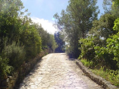 a stone road with trees on either side of it at La Maison St Gervais in Saint-Gervais
