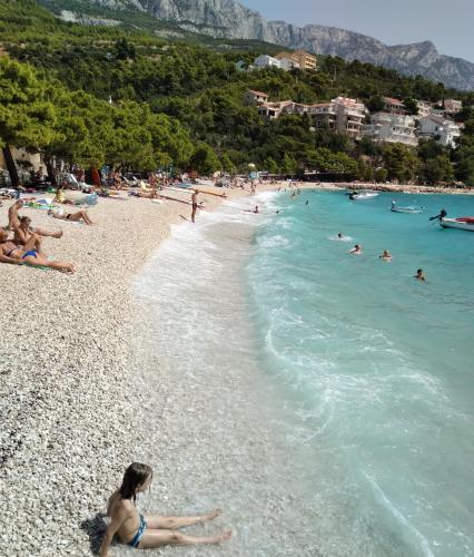 a group of people on a beach in the water at Apartment Hortenzija in Baška Voda