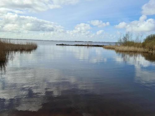 a large body of water with some grass in it at Lakeside Villa with Terrace in Delfstrahuizen