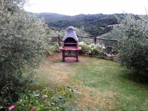 a garden with a bird house in the grass at Casa Crevole in Palazzina