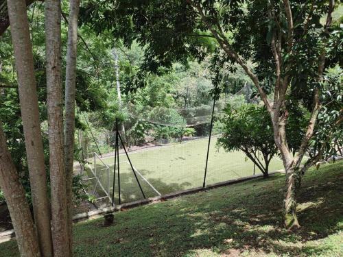 サン・ヘロニモにあるVacations in San Jeronimo - Relaxの芝生の公園内のブランコ