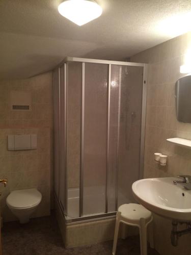a bathroom with a shower and a toilet and a sink at Tirolerhaus Tannheim - zentral und ruhig - gemütliche Dachgeschosswohnung mit separater Küche, Schlafzimmer & Charme - ab 7 Tage buchbar in Tannheim
