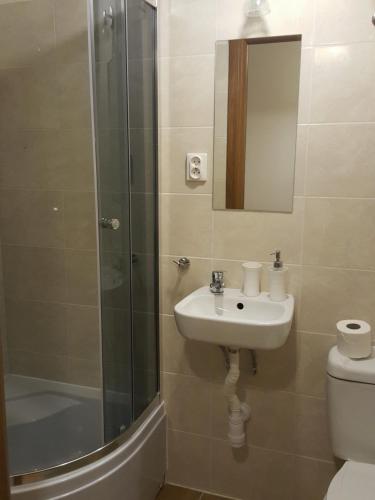 a bathroom with a sink and a shower and a toilet at Pokoje Gościnne Centrum in Krakow