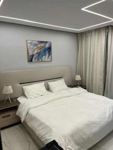 غرفة فندقية بشارع كورنيش العجوزة الرئيسى