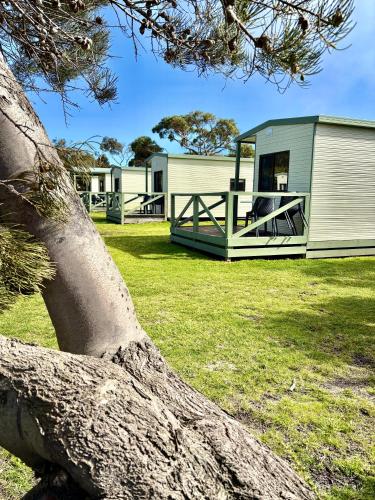 a large tree branch in front of a building at BIG4 Wilsons Prom Holiday Park in Yanakie