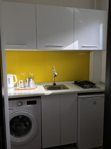 a kitchen with a sink and a washing machine at Cozy Studio Bucharest in Bucharest