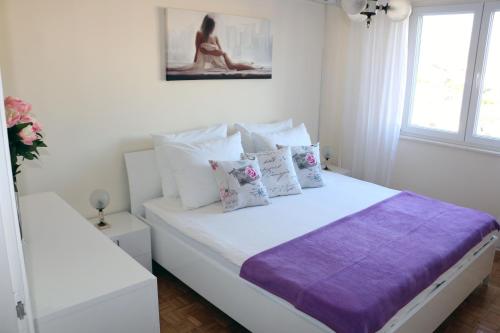 Blue Rose Two Bedroom Apartment with Balcony and Free Parking near Old Town