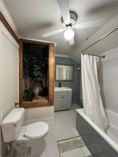 a bathroom with a toilet and a shower and a sink at Carlton House in Toronto