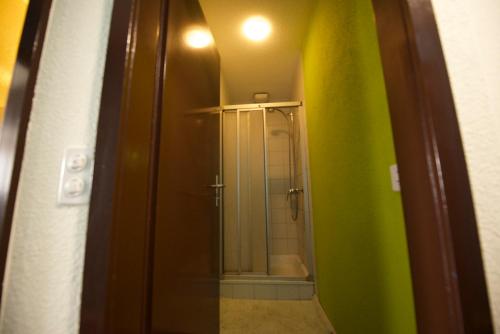 bagno con cabina doccia e specchio di Hotel Albani a Winterthur