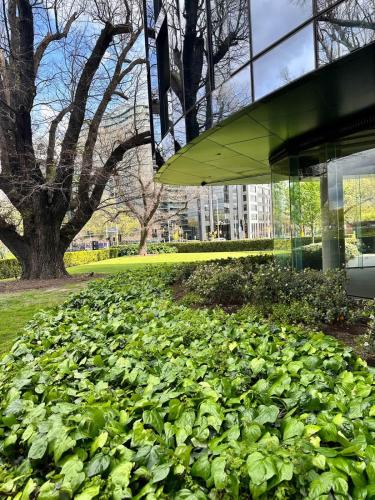 a large field of plants in front of a building at Grand Bayview Corporate Residency in Melbourne