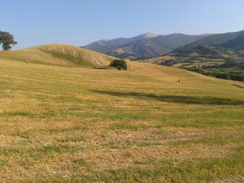 a field of grass with mountains in the background at Ca' le Suore in Cagli