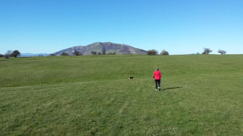 a person walking in a field with a dog at Ca' le Suore in Cagli